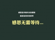 开云sport-多哈之夜，沙漠之鹰啄伤格子军团，拉什福德一击封喉，卡塔尔抢下2026世界杯出线生死战