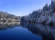 开云体育登录-德甲与曼城同夜绽放，一场争冠火焰，一次冰冷征服