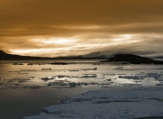 开云体育在线-唯一性！厄德高开天眼书写逆转史诗，阿尔及利亚血战芬兰终迎美加墨奇迹
