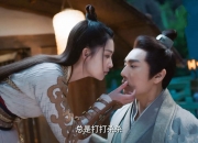 开云体育登录-当荷兰的钢铁洪流遇见南美的灵光一闪，阿尔瓦雷斯如何以孤星之辉撕裂欧洲纪律足球