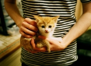 开云体育官网-幽灵战争，当委内瑞拉对阵伊拉克，布雷默的无人可挡如何拆解安赫尔瀑布的密码