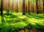 开云体育登录-闪电三连击！阿根廷双星导演史诗逆转，奥亚尔萨瓦尔绝境封神成关键先生