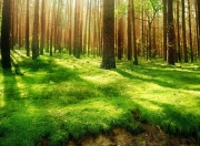 开云体育登录-闪电三连击！阿根廷双星导演史诗逆转，奥亚尔萨瓦尔绝境封神成关键先生