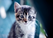 开云体育在线-时空错乱的体育狂欢夜，当德甲争冠战遇见浙江队横扫湖人