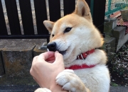 开云APP-双面逆袭，从雷克雅未克到伯纳乌，非主角的史诗接管