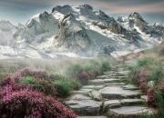 开云体育APP下载-绿茵交响曲，萨拉赫的艺术爆发与法兰西的战争机器