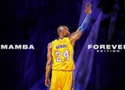 开云体育登录-西决遗风东渐，纽约硬骨头啃下南海岸烈焰