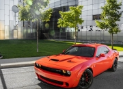 开云体育中国-卡瓦哈尔之光，当蓝鹰的翅膀划过沙特黄昏