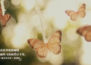 开云下载-利拉德一剑封喉，当勇士的河流遇上火箭的火焰，历史在0.6秒改写