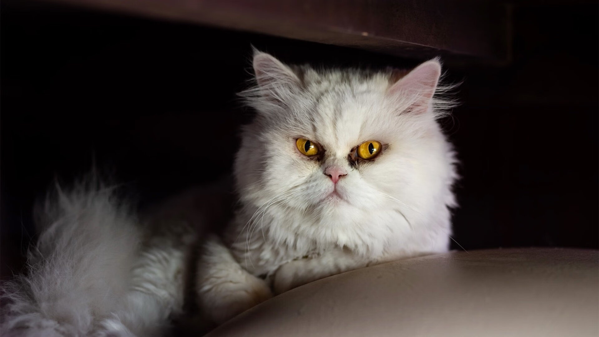 欧冠淘汰赛之夜，争议之王？拉梅洛攻防两端统治—今夜，他说了算