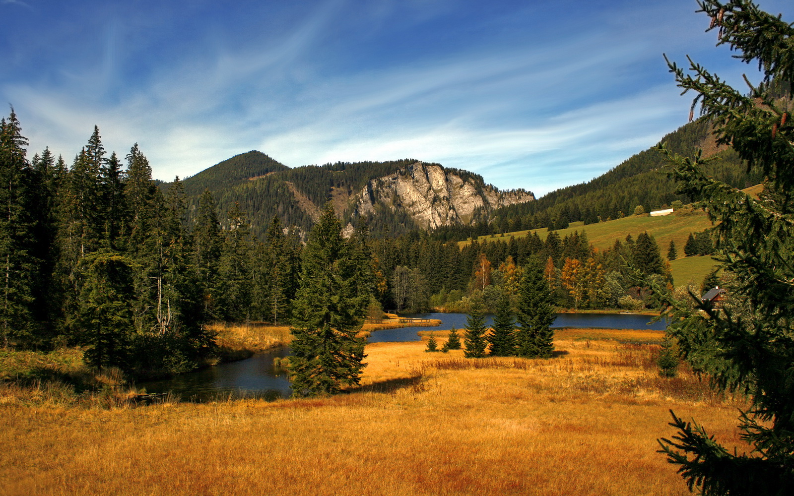 隐形约基奇，当丹佛幽灵出现在纽约与山西的战场