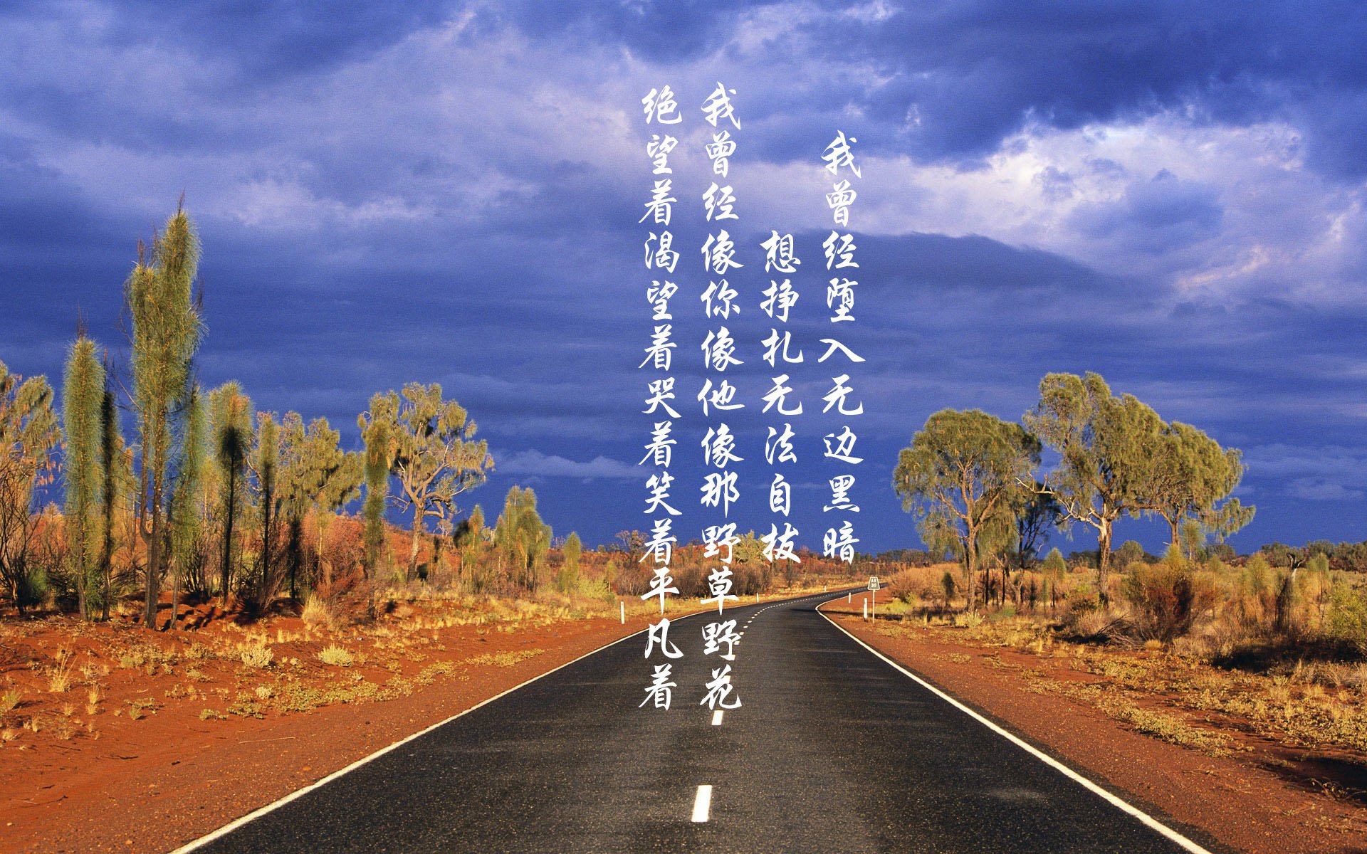 苍穹利爪，莫兰特的猎食之夜与老鹰强压辽宁的战术密码