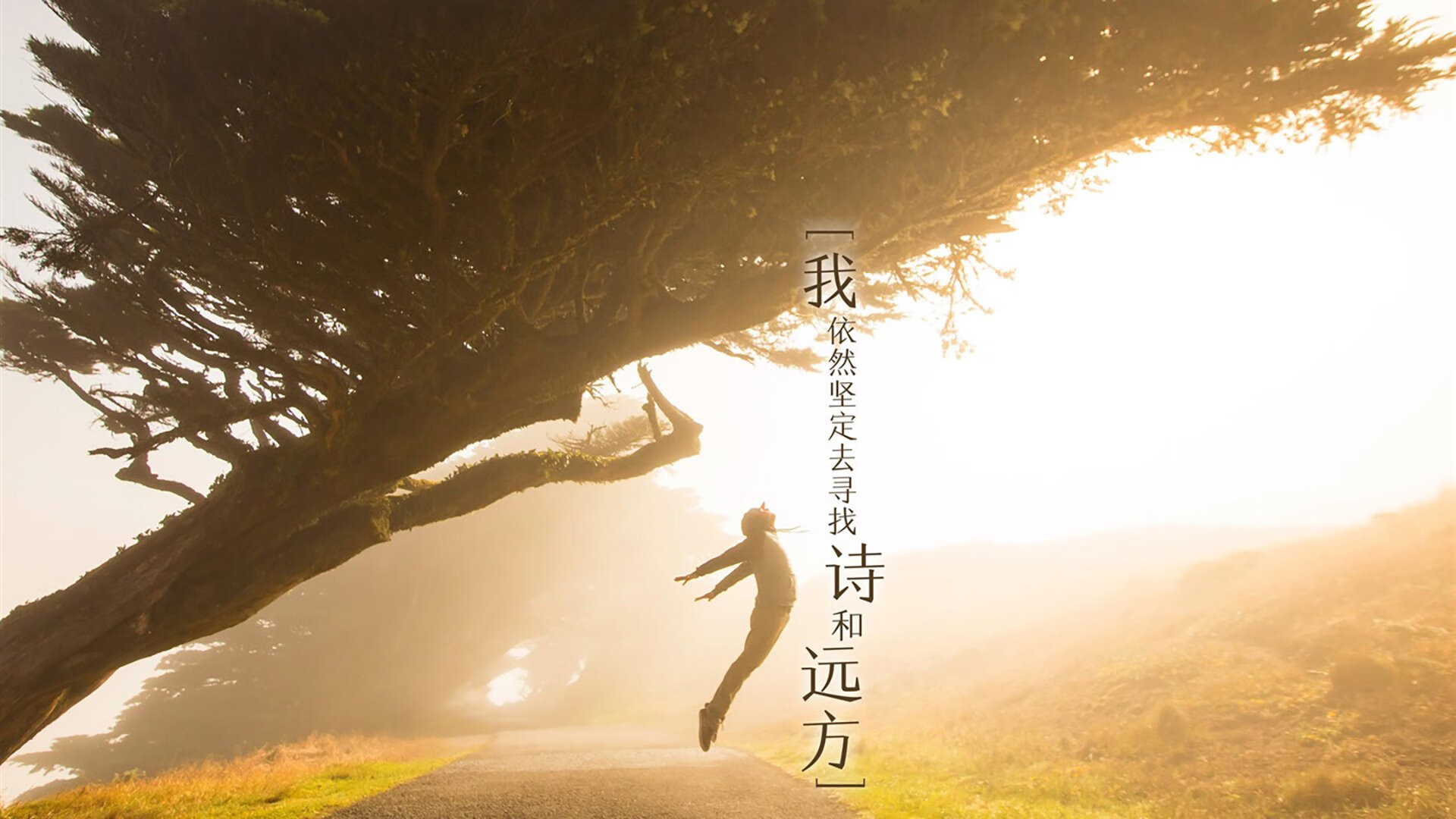 意甲焦点战之夜，弗拉霍维奇独舞，进攻端无人可挡