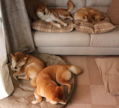 骑士铁骑踏破费城，神秘奇兵化身关键先生终结悬念