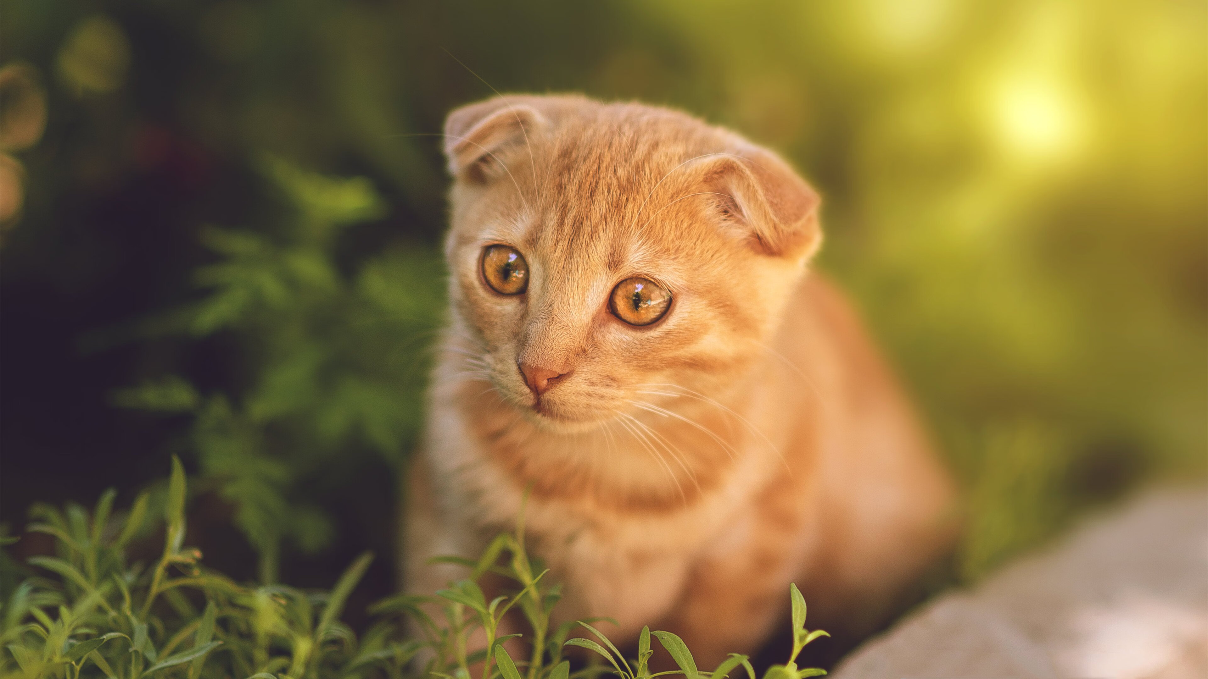 一记停顿击碎拜仁心跳，萨卡那停顿后的世界与唯一性的诞生