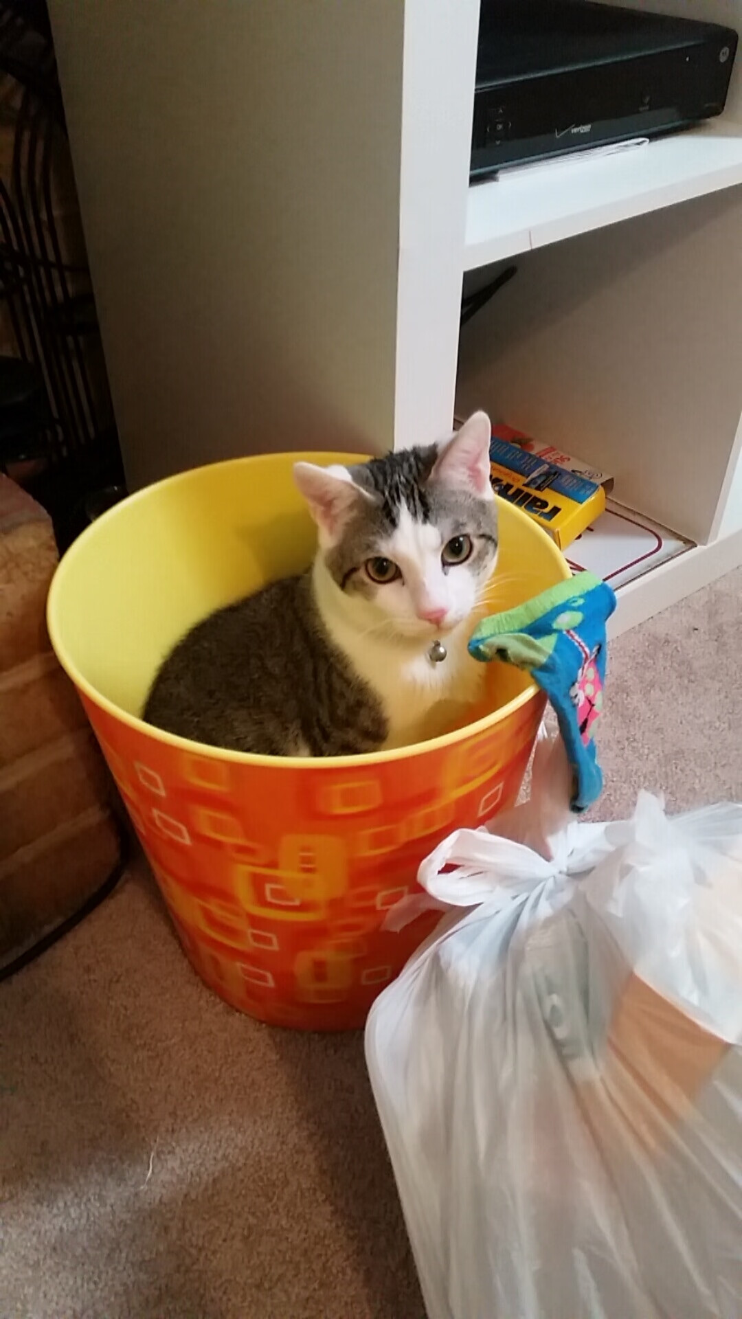 当辽宁需要自己的詹姆斯，太阳的节奏启示录