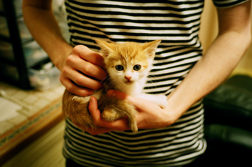 幽灵战争,当委内瑞拉对阵伊拉克,布雷默的无人可挡如何拆解安赫尔瀑布的密码