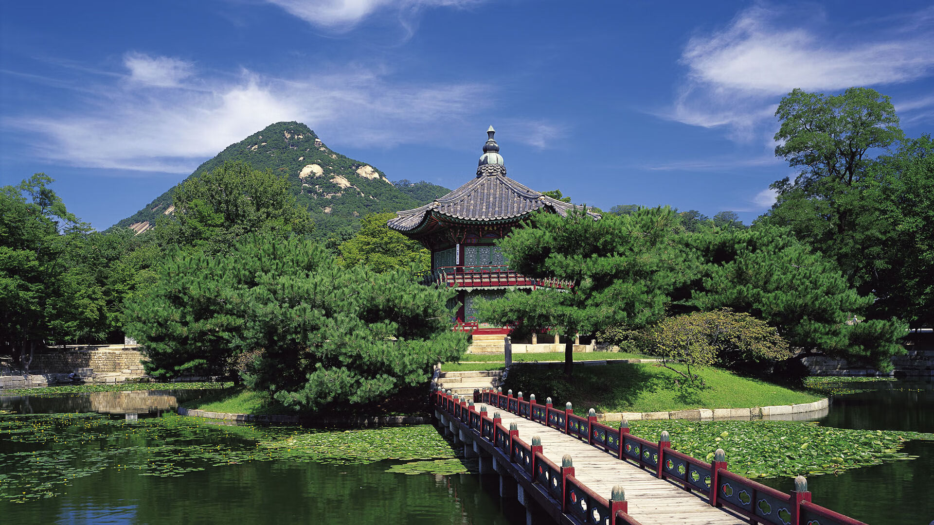 东西方碰撞，贝蒂斯与日本队的战术博弈，奥利维耶一锤定音