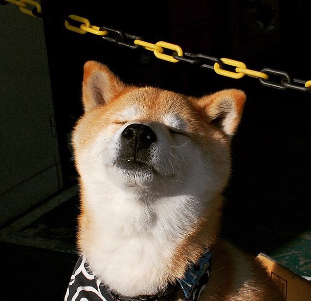 冰冷的数据，滚烫的血，阿劳霍三个决定命运的瞬间