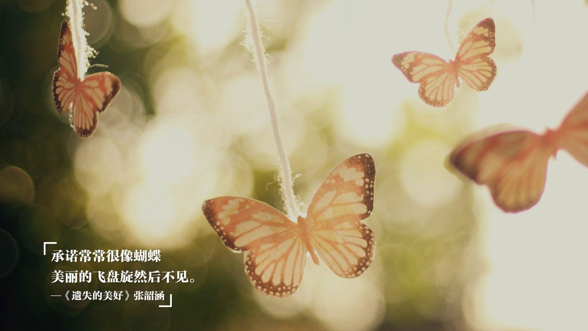 喀麦隆雷神之锤砸碎星月防线！伊萨克如入无人之境，助雄狮稳稳擒下土耳其