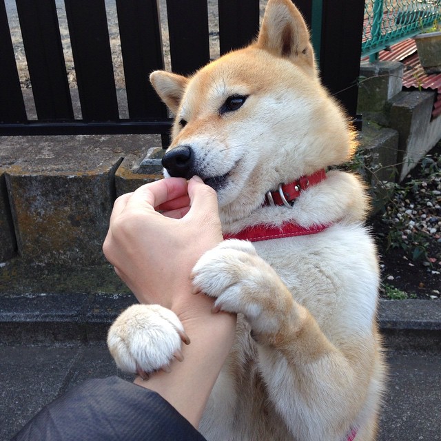 双面逆袭，从雷克雅未克到伯纳乌，非主角的史诗接管