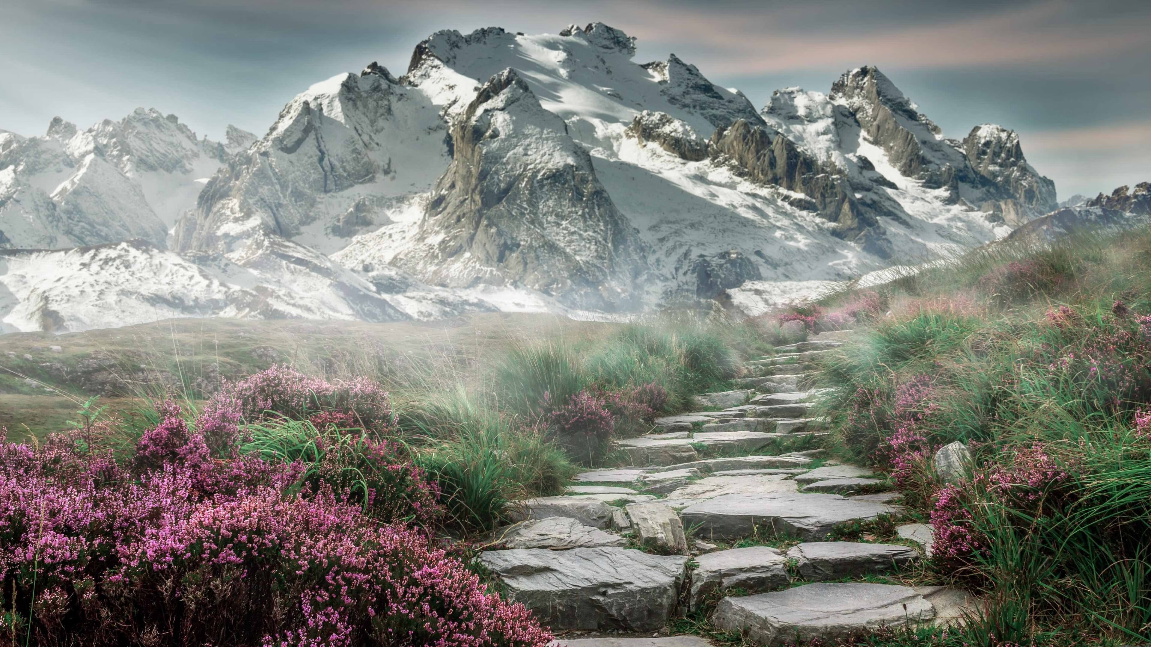 绿茵交响曲，萨拉赫的艺术爆发与法兰西的战争机器