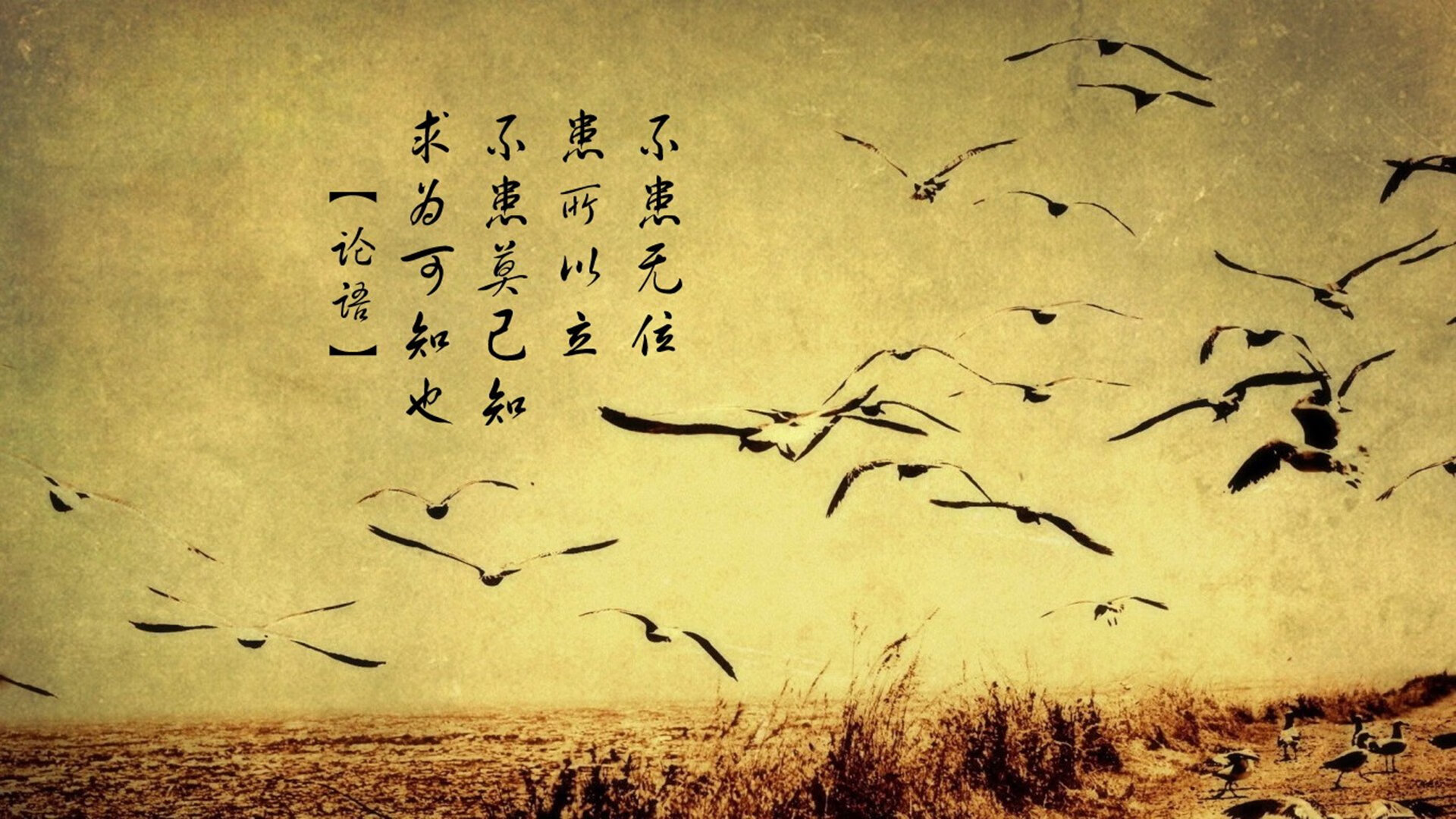 平行时空的收割者，当武切维奇在NBA证明资产价值，山西队在中超为核心流失交出学费