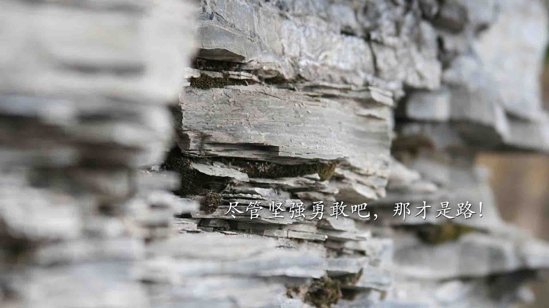 沙漠风暴与东欧铁骑，2026世界杯C组关键战，库尔图瓦神级指挥罗马尼亚逆转沙特