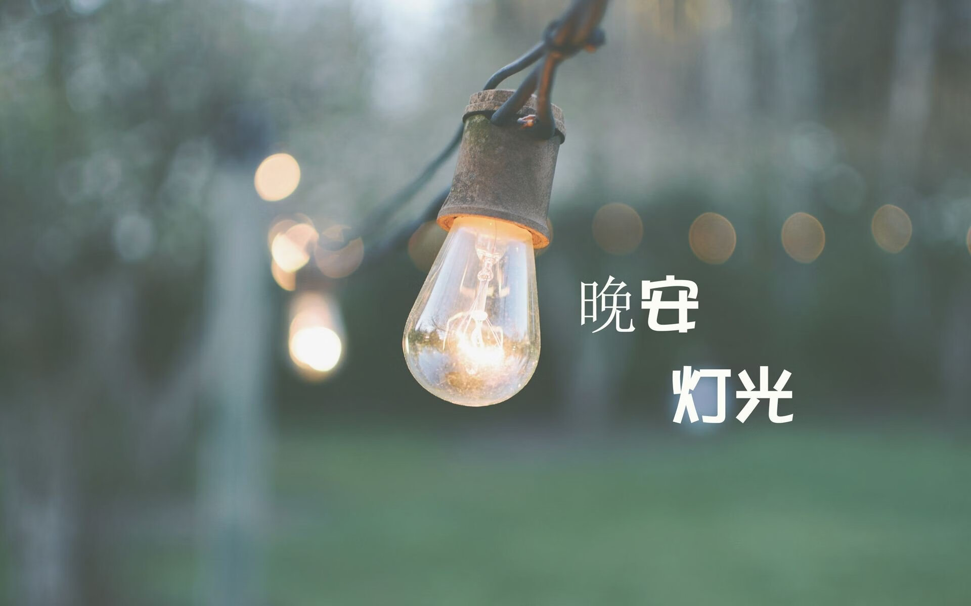 孤胆蓝衣，托纳利淬血铸神迹，葡萄牙伏虎韩国定乾坤—2026世界杯黑马之战临界点