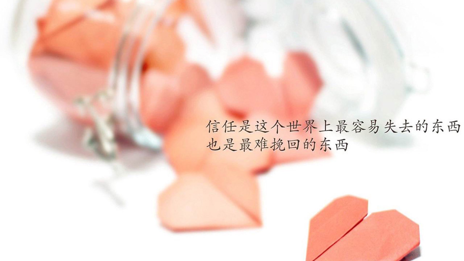 哈兰德剑指沙漠之狐,2026世界杯H组,北欧重锤与北非铁壁的唯一性对决
